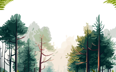 Zielona Przystań Seniora