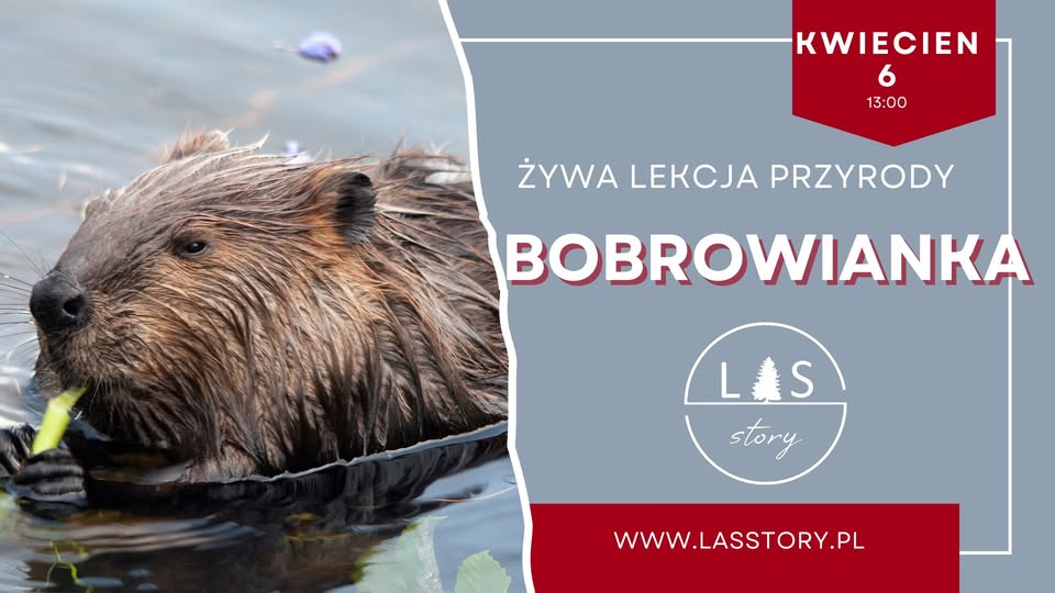 Bobrowianka - żywa lekcja przyrody 7