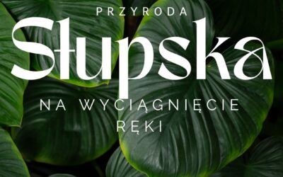 Przyroda Słupska na wyciągnięcie ręki