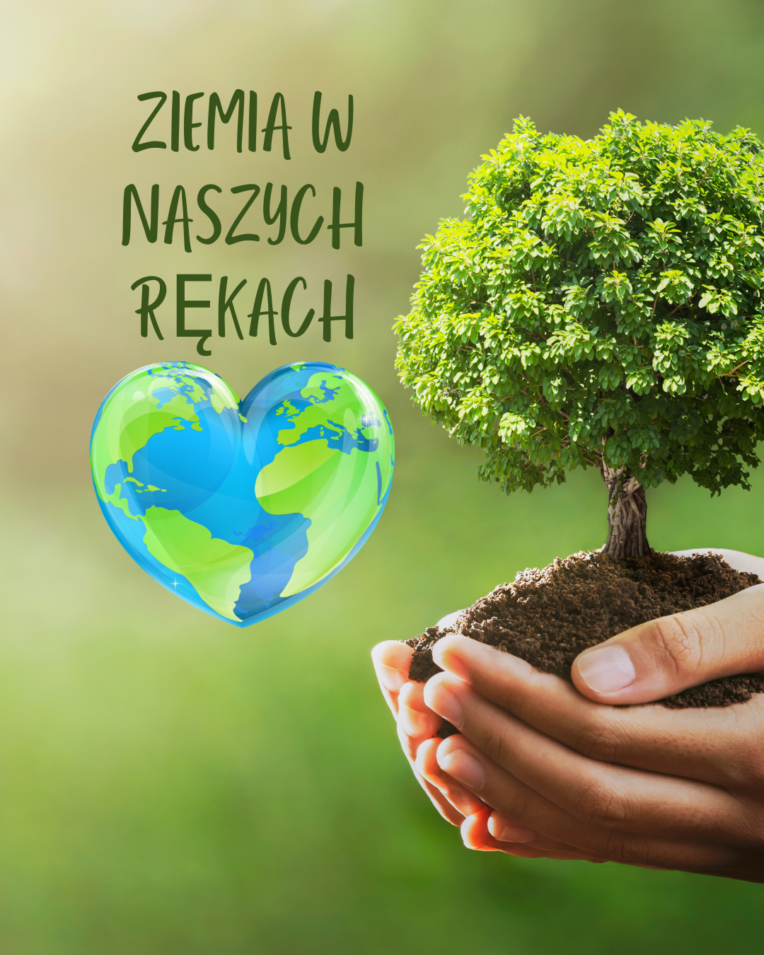 Ziemia w naszych rękach: Leśne instalacje artystyczne 7