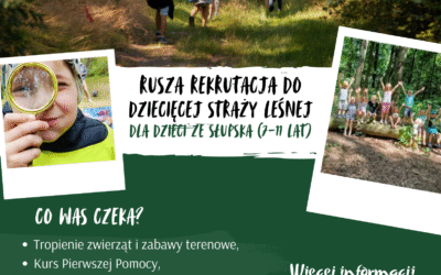 Dziecięca Straż Leśna!