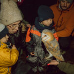 ENERG(i)A w Lesie - Czysto, Dziko, Magicznie 2