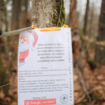 ENERG(i)A w Lesie - Czysto, Dziko, Magicznie 14