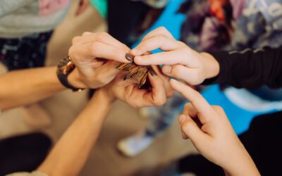 Gągoł i Spółka – edukacyjna misja ochrony ptaków wodnych zakończona sukcesem