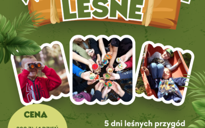 Leśna Baza Przygód – całodniowe warsztaty w naturze